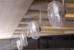 misty fan rental